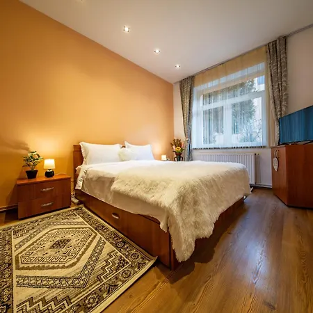 John Residence Brasov Old Town Apartments With Mountain View And Parking Appartement *