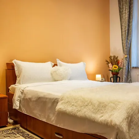 John With Parking Option 브라쇼브