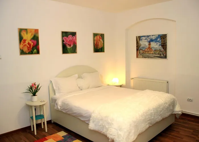 John Residence Brasov Apartments With Mountain View & Parking Option, Modern Studio In Old Town