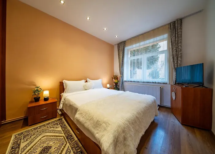 Апартаменты John Residence Brasov Apartments With Mountain View & Parking Option, Modern Studio In Old Town *