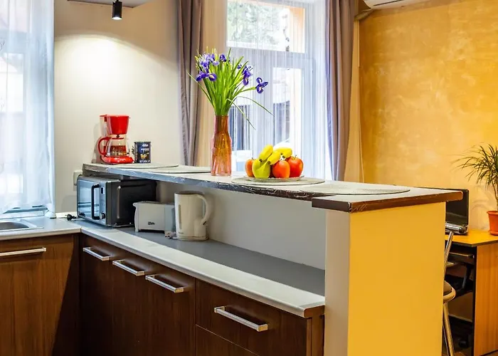 John Residence Brasov Apartments With Mountain View & Parking Option, Modern Studio In Old Town Апартаменты