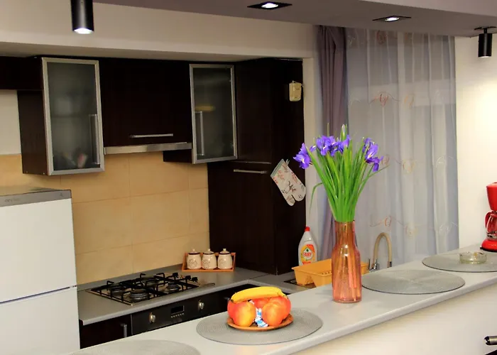 John Residence Brasov Apartments With Mountain View & Parking Option, Modern Studio In Old Town Апартаменты Брашов