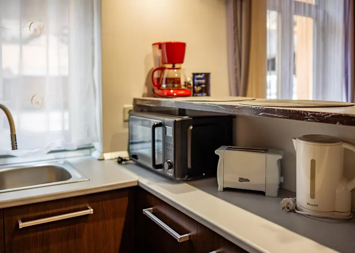 John Residence Brasov Apartments With Mountain View & Parking Option, Modern Studio In Old Town Apartment Brașov