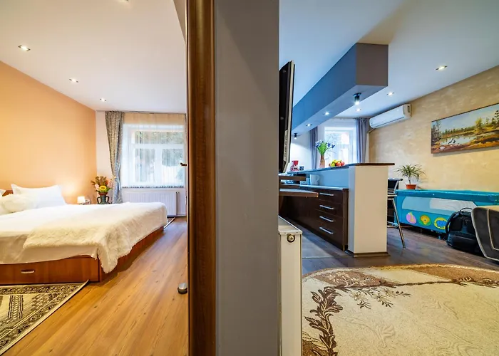 John Residence Brasov Apartments With Mountain View & Parking Option, Modern Studio In Old Town * Brașov