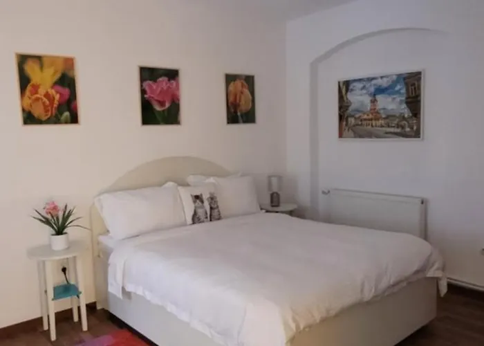 Apartment John Residence Brasov Apartments With Mountain View & Parking Option, Modern Studio In Old Town