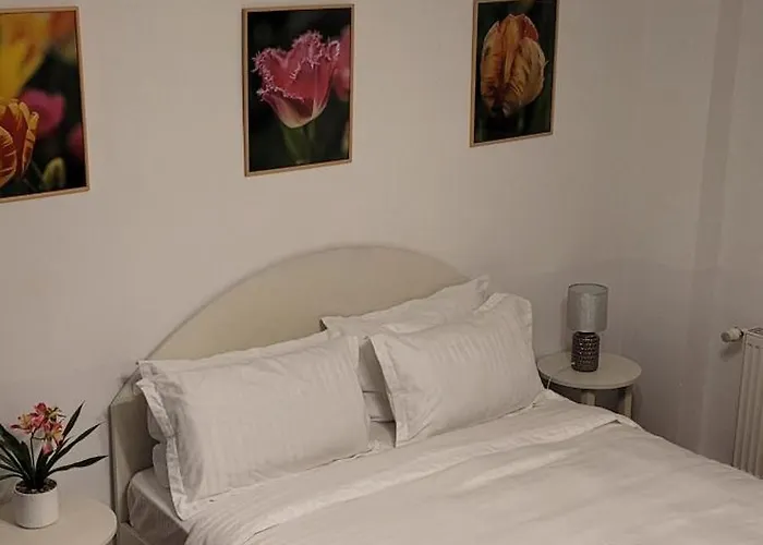 John Residence Brasov Apartments With Mountain View & Parking Option, Modern Studio In Old Town Apartment *