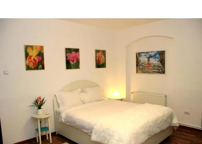 John Residence Brasov Apartments With Mountain View & Parking Option, Modern Studio In Old Town Brașov