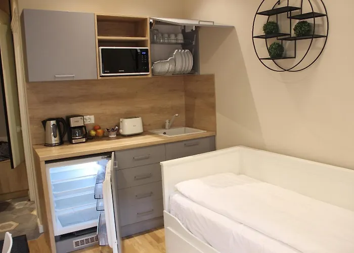 John Residence Brasov Apartments With Mountain View & Parking Option, Modern Studio In Old Town Апартаменты